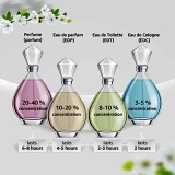 F By Salvatore Ferragamo Edt 100ML-Men perfume bottle original product